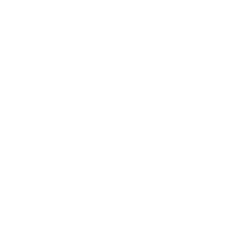 N1 Immobilien
